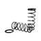 Arnott Coil Spring Conversion Kit, C-2410 C-2410 - alternate 2